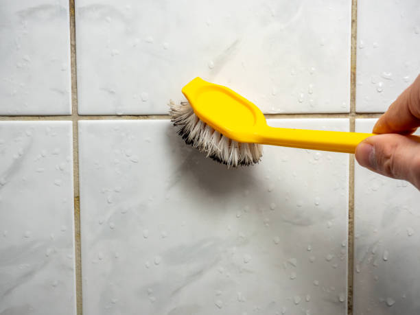 Best Local Mold Removal Service  in Nixon, PA