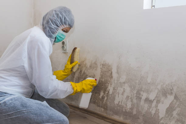 Water Damage Restoration in Nixon, PA
