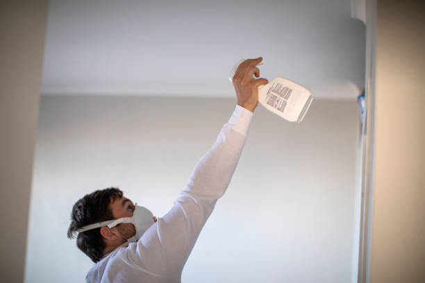 Best Water Damage Restoration  in Nixon, PA