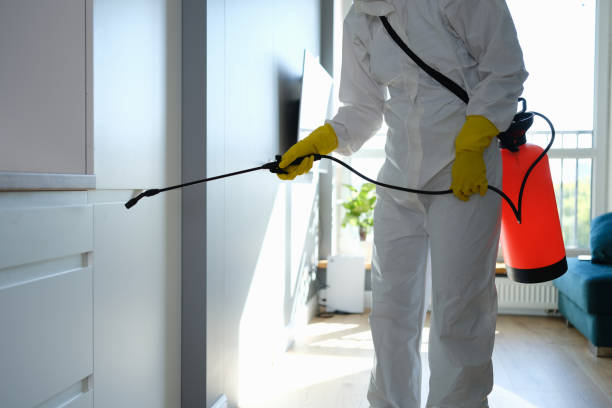 Best Emergency Mold Removal  in Nixon, PA